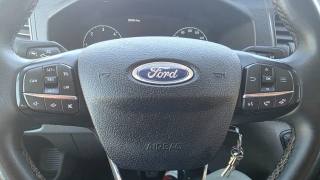 FORD Transit usata, con Telecamera per parcheggio assistito
