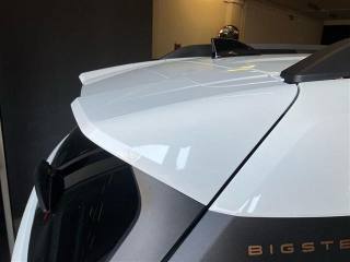 DACIA Bigster usata 18