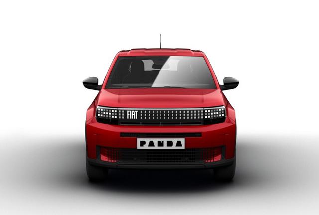 FIAT Grande Panda usata, con ESP