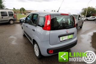 FIAT Panda usata, con Fendinebbia
