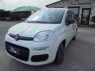 FIAT Panda usata, con Airbag Passeggero
