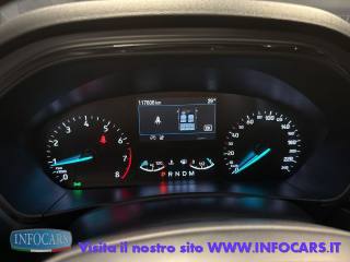 FORD Focus usata, con Cruise Control