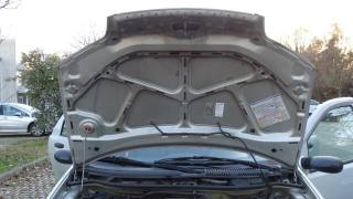 FIAT Punto usata 118