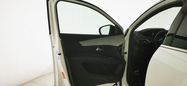 PEUGEOT 3008 usata 66