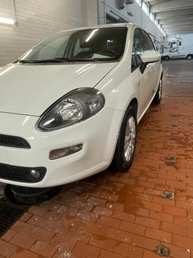FIAT Punto usata, con Controllo trazione