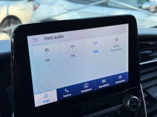 FORD Tourneo Custom usata, con Fendinebbia