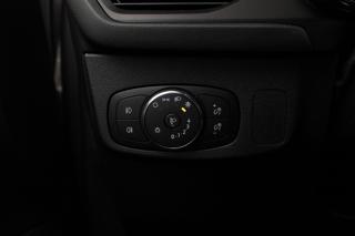 FORD Focus usata, con Sedile posteriore sdoppiato