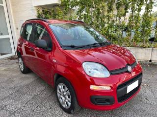 FIAT Panda usata 0