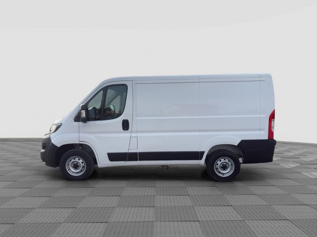 FIAT Ducato usata 2