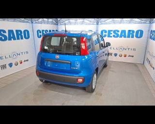 FIAT Pandina usata, con Airbag Passeggero