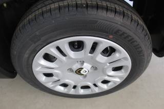 FIAT Panda usata, con Sensori di parcheggio posteriori