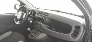 FIAT Panda usata 50