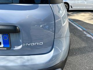 FIAT Panda Cross usata, con Alzacristalli elettrici