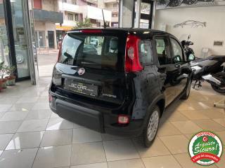 FIAT Panda usata, con Alzacristalli elettrici