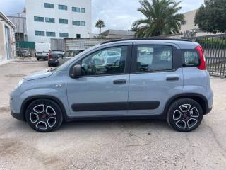FIAT Panda usata 5