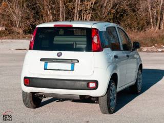 FIAT Panda usata, con Alzacristalli elettrici