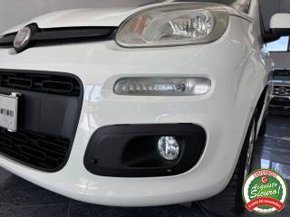 FIAT Panda usata, con Luci diurne LED