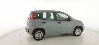 FIAT Panda usata 18