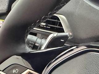 PEUGEOT 3008 usata 21