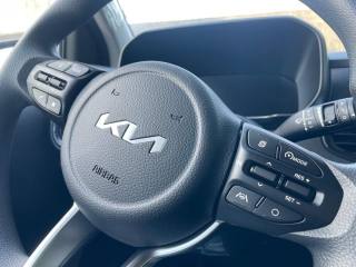 KIA Picanto usata, con Immobilizzatore elettronico