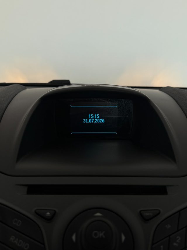 FORD Fiesta usata 17