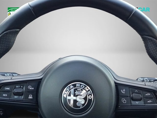 ALFA ROMEO Tonale usata, con Servosterzo