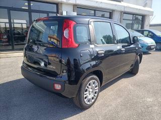 FIAT Panda usata, con Climatizzatore