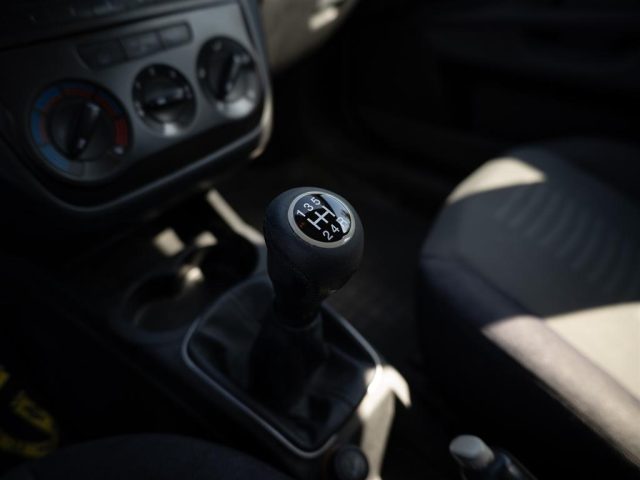 FIAT Punto usata 13