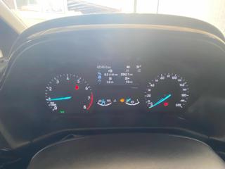 FORD Fiesta usata, con ESP