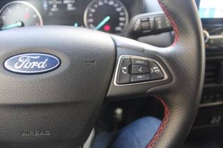 FORD EcoSport usata, con Sensore di luce