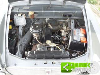 FIAT 1100 usata 17