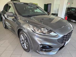 FORD Kuga 2.0 EcoBlue 120 CV aut. AWD ST-Line