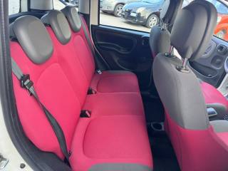 FIAT Panda usata 17