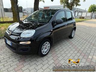 FIAT Panda 1.2 Pop Clima ,5 Posti