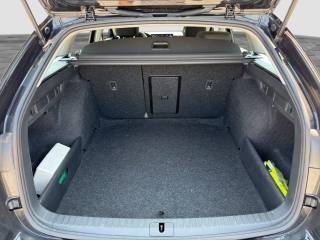 SKODA Octavia usata 13