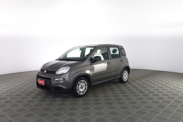 FIAT Panda usata 6