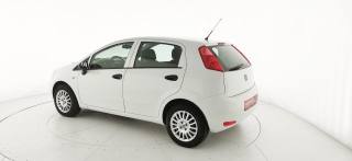 FIAT Punto usata 17