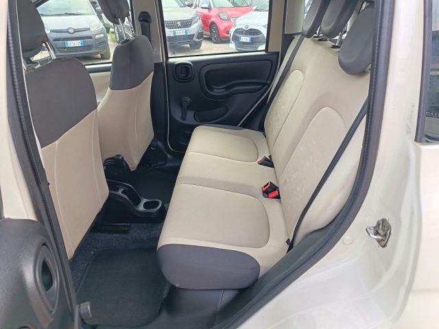 FIAT Panda usata 10