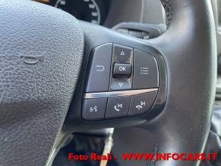 FORD Transit usata, con Volante in pelle