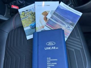 FORD Puma usata, con Fendinebbia