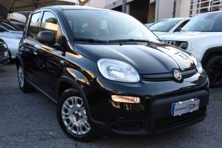 FIAT Panda usata, con Airbag