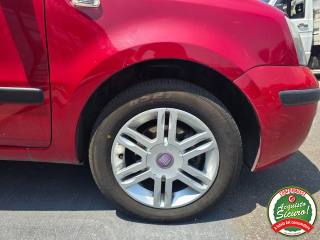 FIAT Panda usata 19