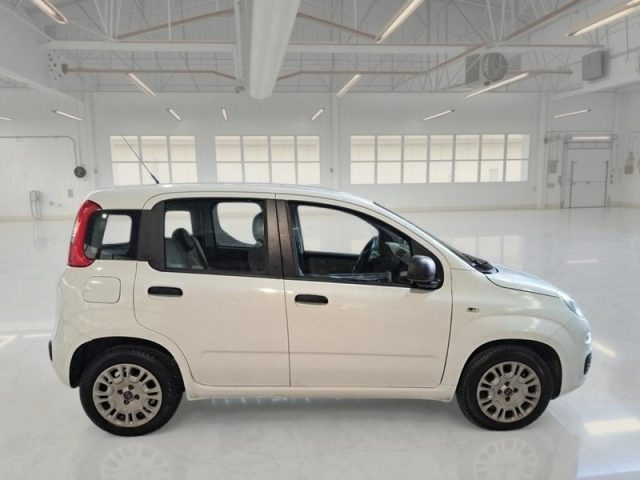 FIAT Panda usata, con Airbag Passeggero