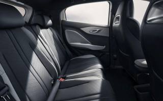 BYD Dolphin Surf usata, con Touch screen