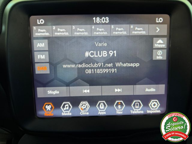 JEEP Renegade usata, con ESP