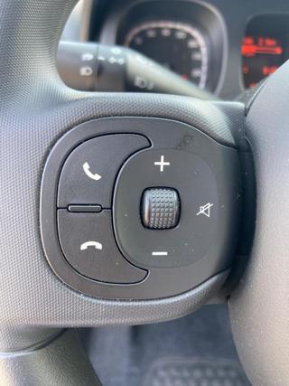 FIAT Panda Cross usata, con Airbag testa