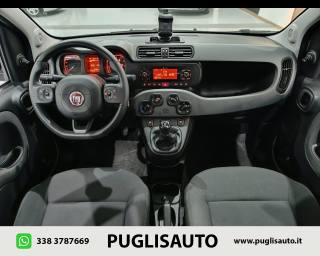 FIAT Panda Cross usata, con Chiusura centralizzata