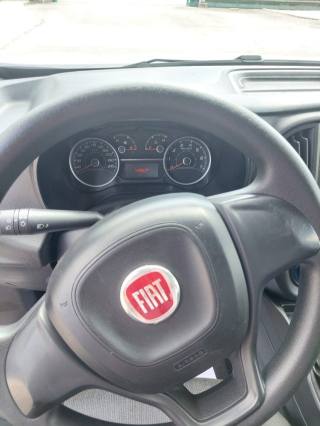 FIAT Doblo usata, con Cronologia tagliandi