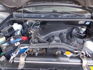 DAIHATSU Terios usata 16