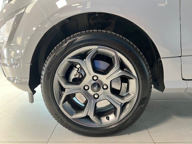 FORD EcoSport usata, con Vetri oscurati